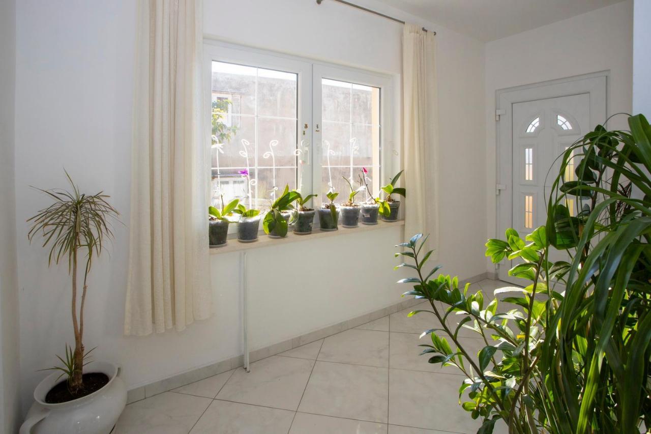 Villa Milenka - Apartmani Gorana Tučepi Exteriör bild